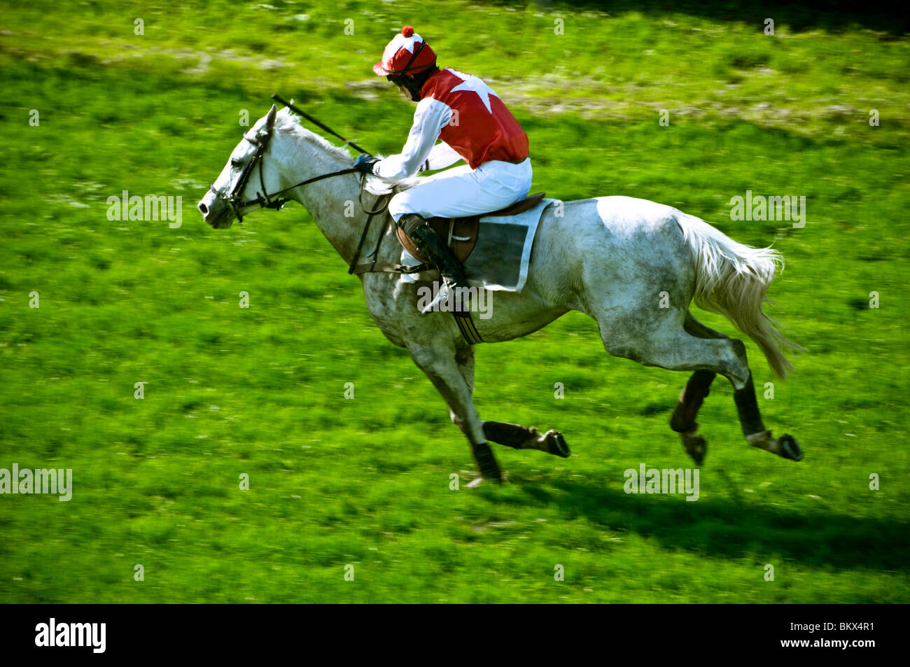 a jockey with his horse during a horse race Stock Photo