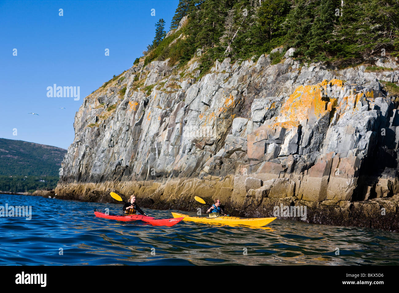 A man and woman sea kayaking near Bald Porcupine Island in Maine's