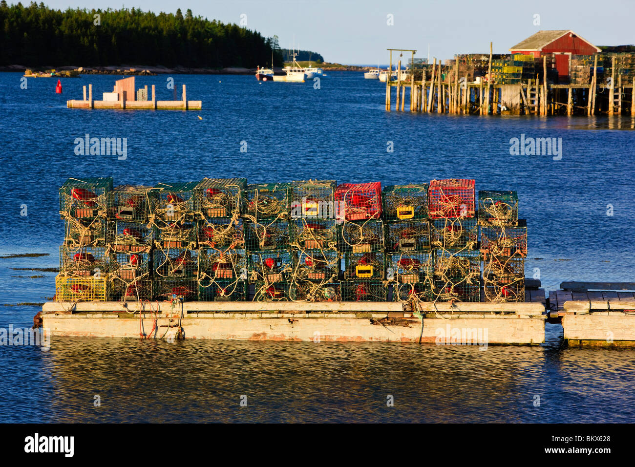 Lobster traps at the town landing in Beals Island, Maine Stock Photo