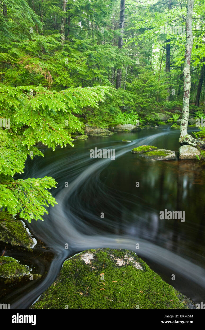 Moores Brook in Ellsworth, Maine.  Moores Brook empties into Branch Lake. Stock Photo