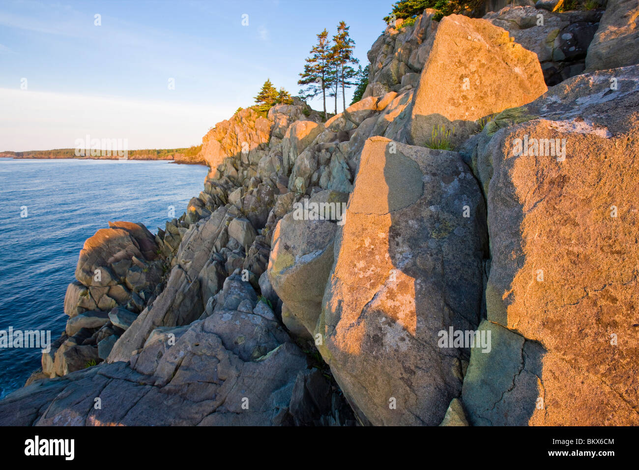 The cliffs of the Bold Coast trail in Cutler, Maine. Cutler Coast