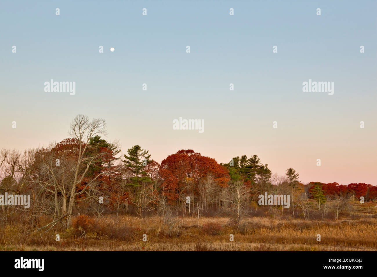 The moon sets over a hay field on the Benjamin Farm in Scarborough ...
