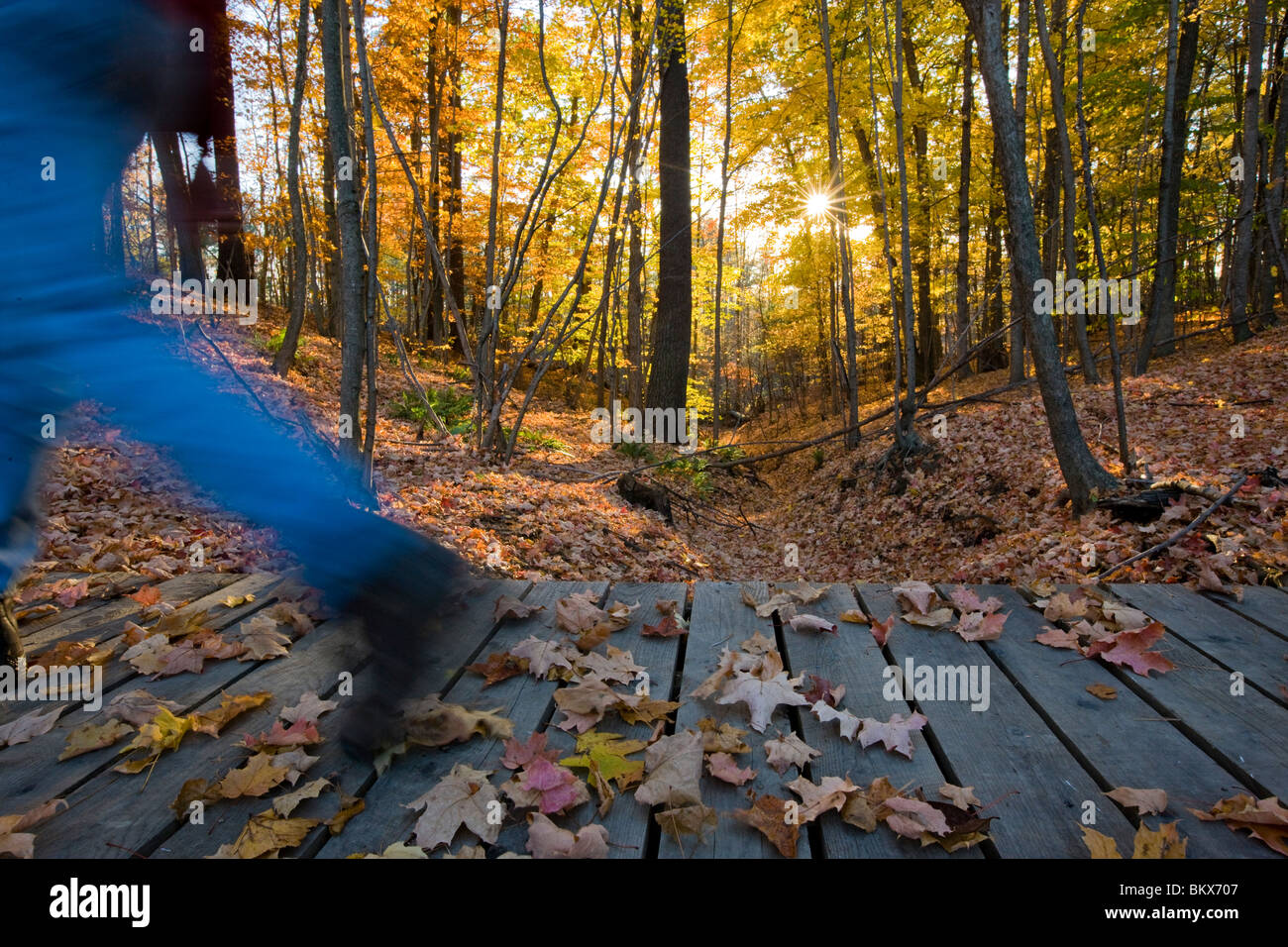A man hikes over a footbridge near the Presumpscot River in Portland, Maine. Fall.  A. Stock Photo