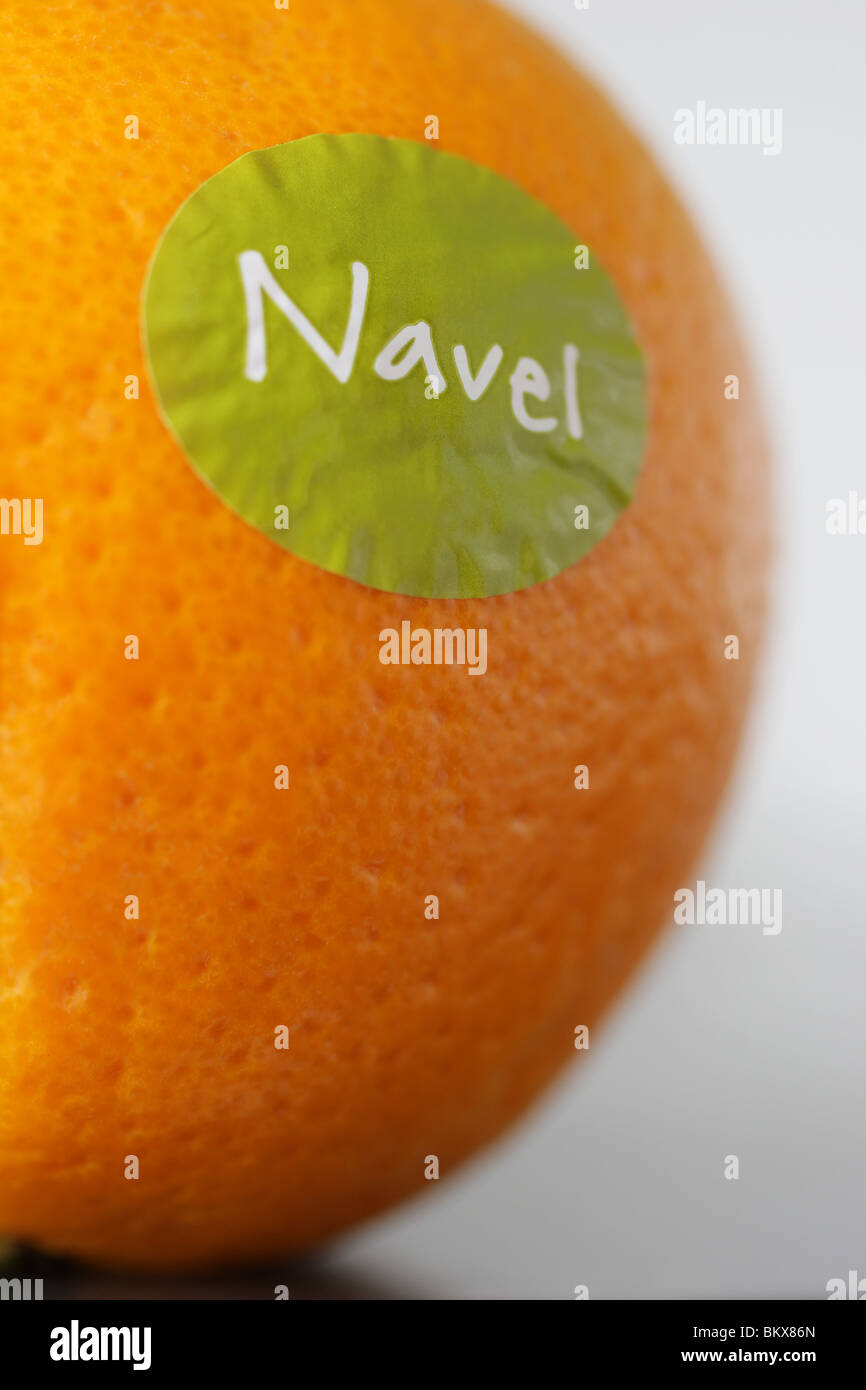 Navel Orange Stock Photo Alamy