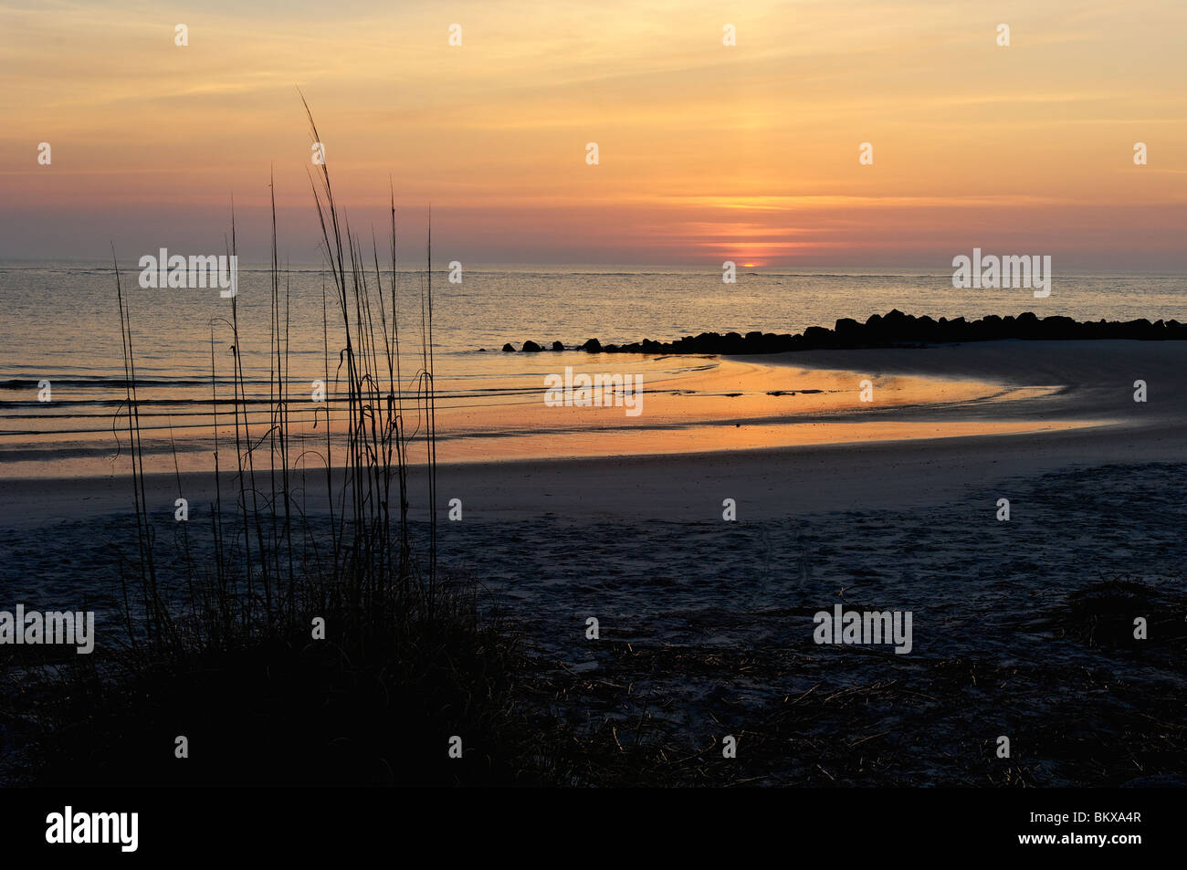 Atlantic Ocean Sunrise on Folly Beach in Charleston County, South Carolina Stock Photo