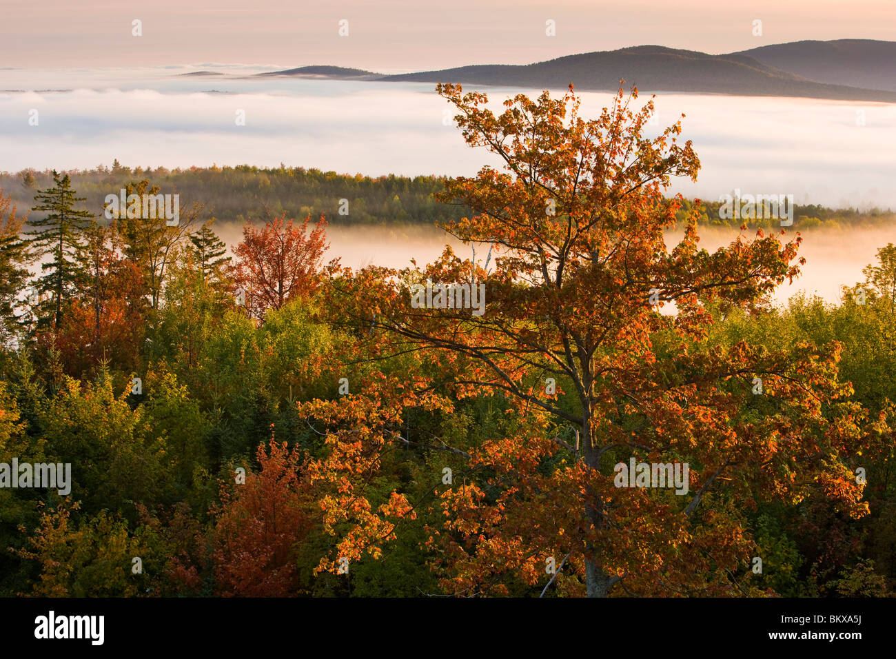 Morning fog as seen from the fire tower at Milan Hill State Park in