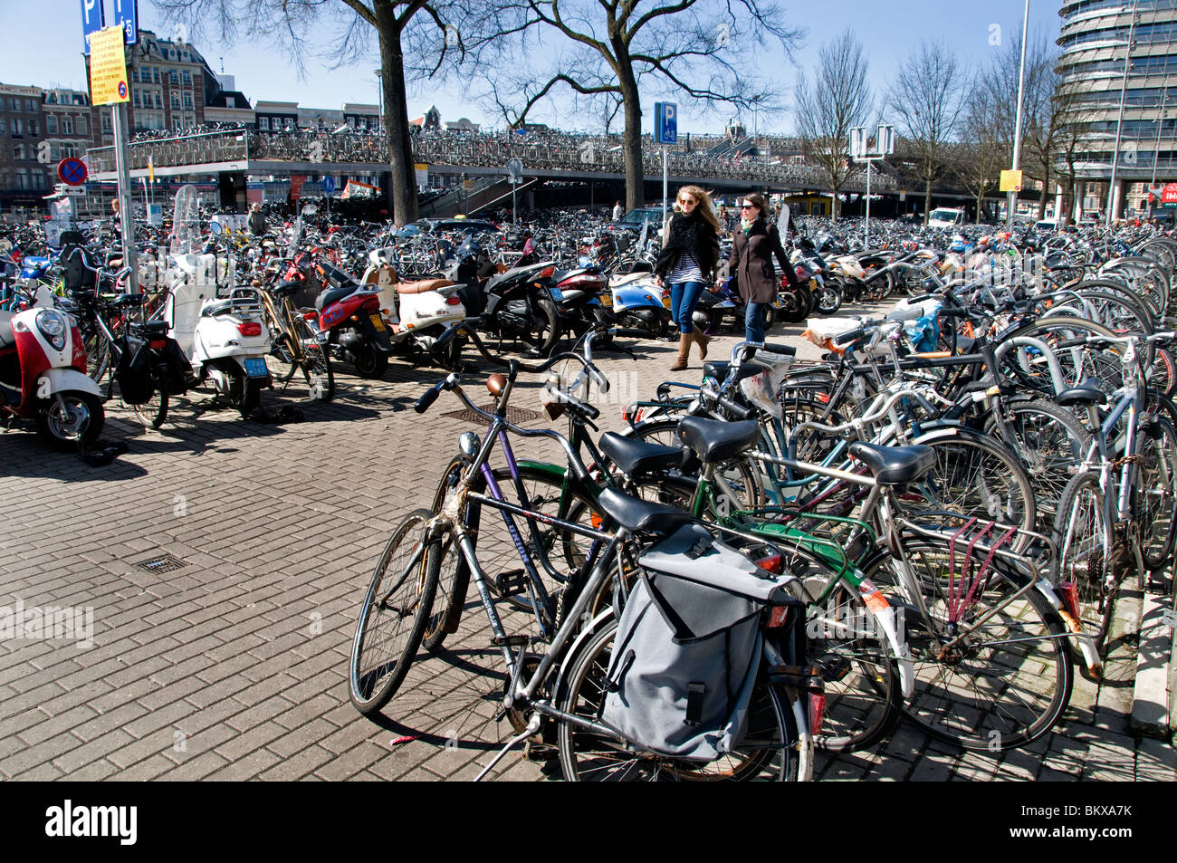 Bicycle Parking Central Station, Amsterdam, The Netherlands, Dutch, Stock Photo