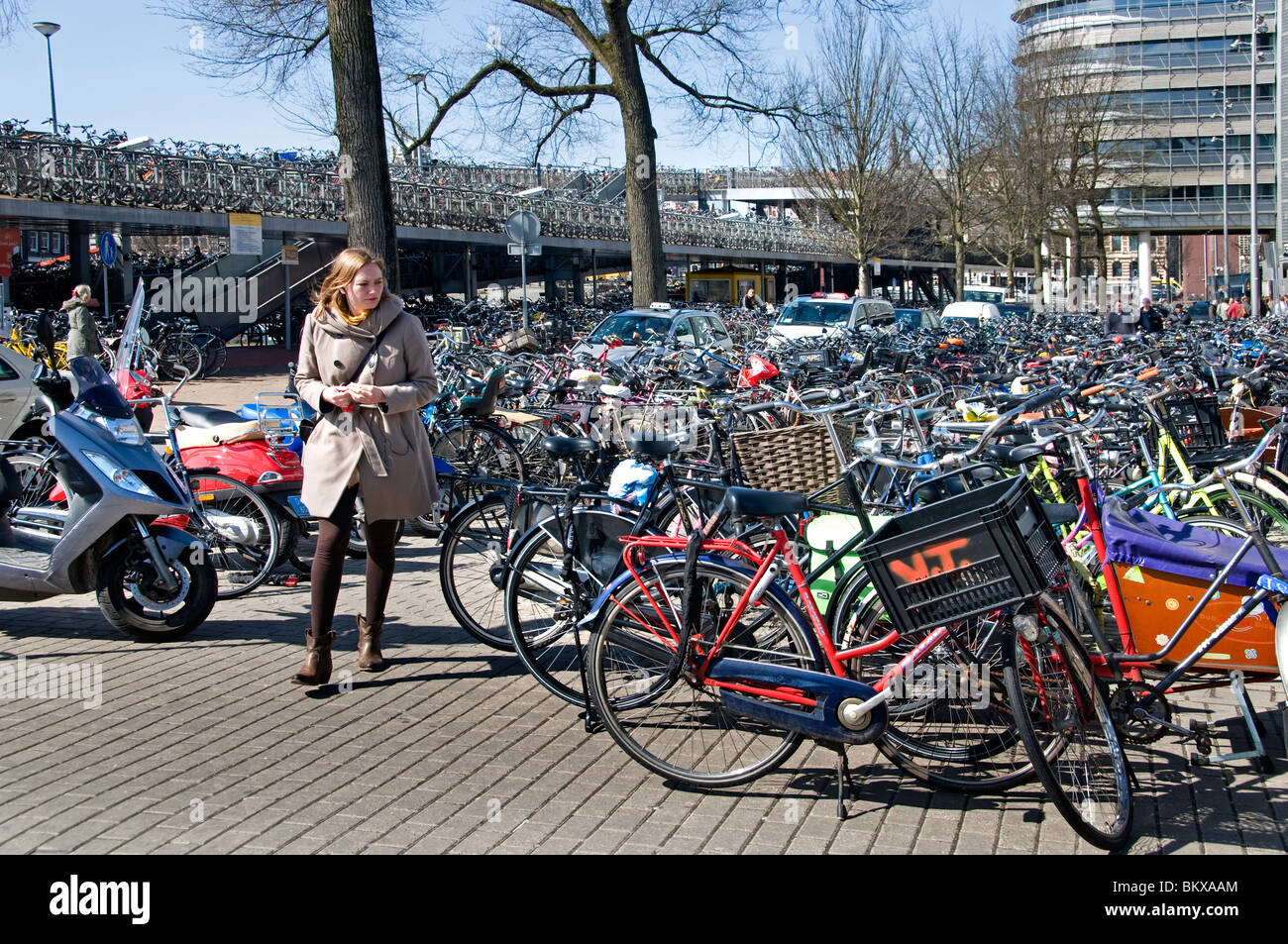 Bicycle Parking Central Station, Amsterdam, The Netherlands, Dutch
