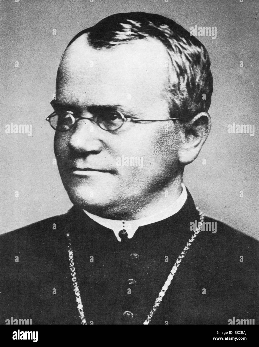 GREGOR JOHANN MENDEL - Austrian botanist (1822-84 Stock Photo - Alamy