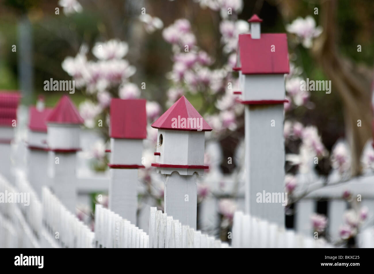 Bird Houses on White Pickett Fence in Concord, North Carolina Stock