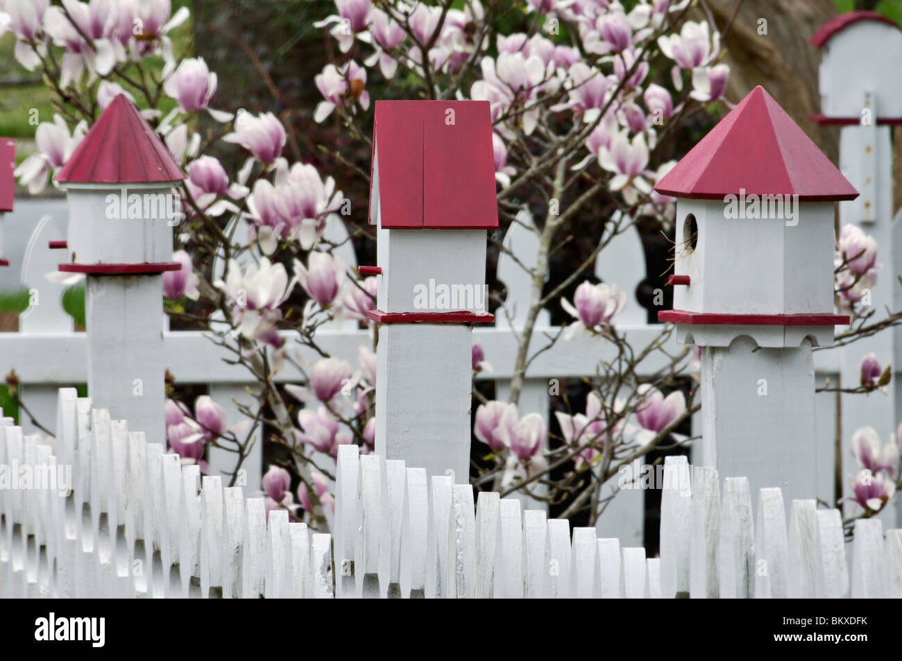 Bird Houses on White Pickett Fence in Concord, North Carolina Stock