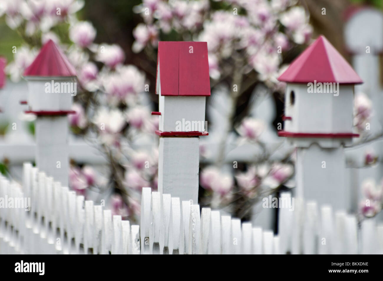 Bird Houses on White Pickett Fence in Concord, North Carolina Stock