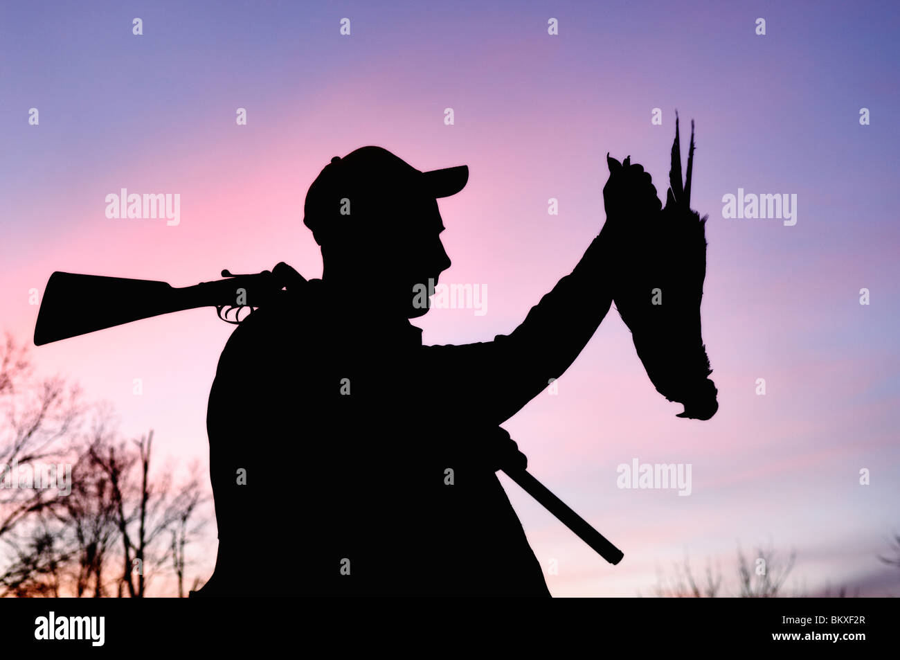 Pheasant Hunter with Shotgun and Pheasant Silhouetted Against the Sunset at Deer Creek Lodge in Western Kentucky Stock Photo