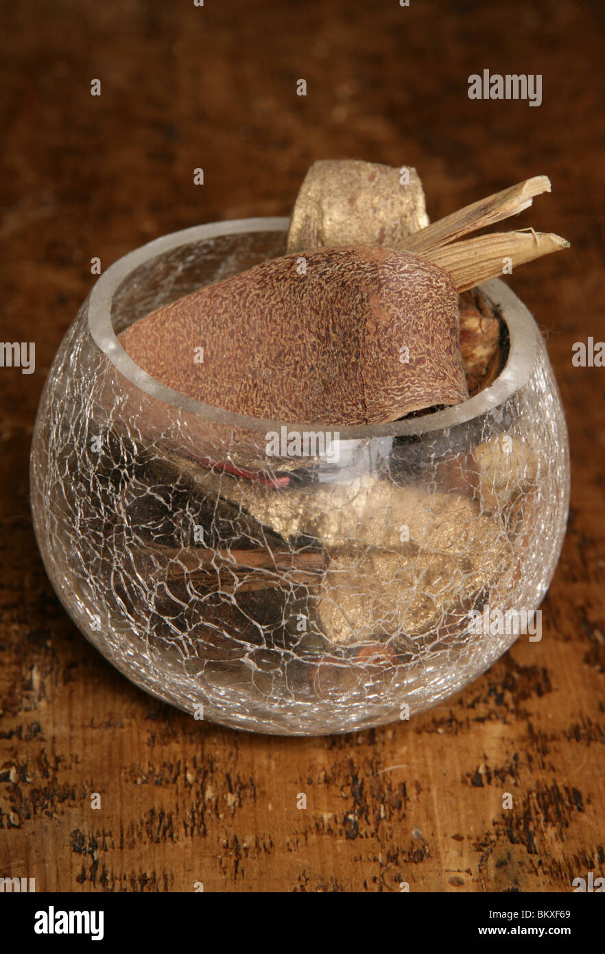 potpourri in glass bowl studio portrait Stock Photo Alamy