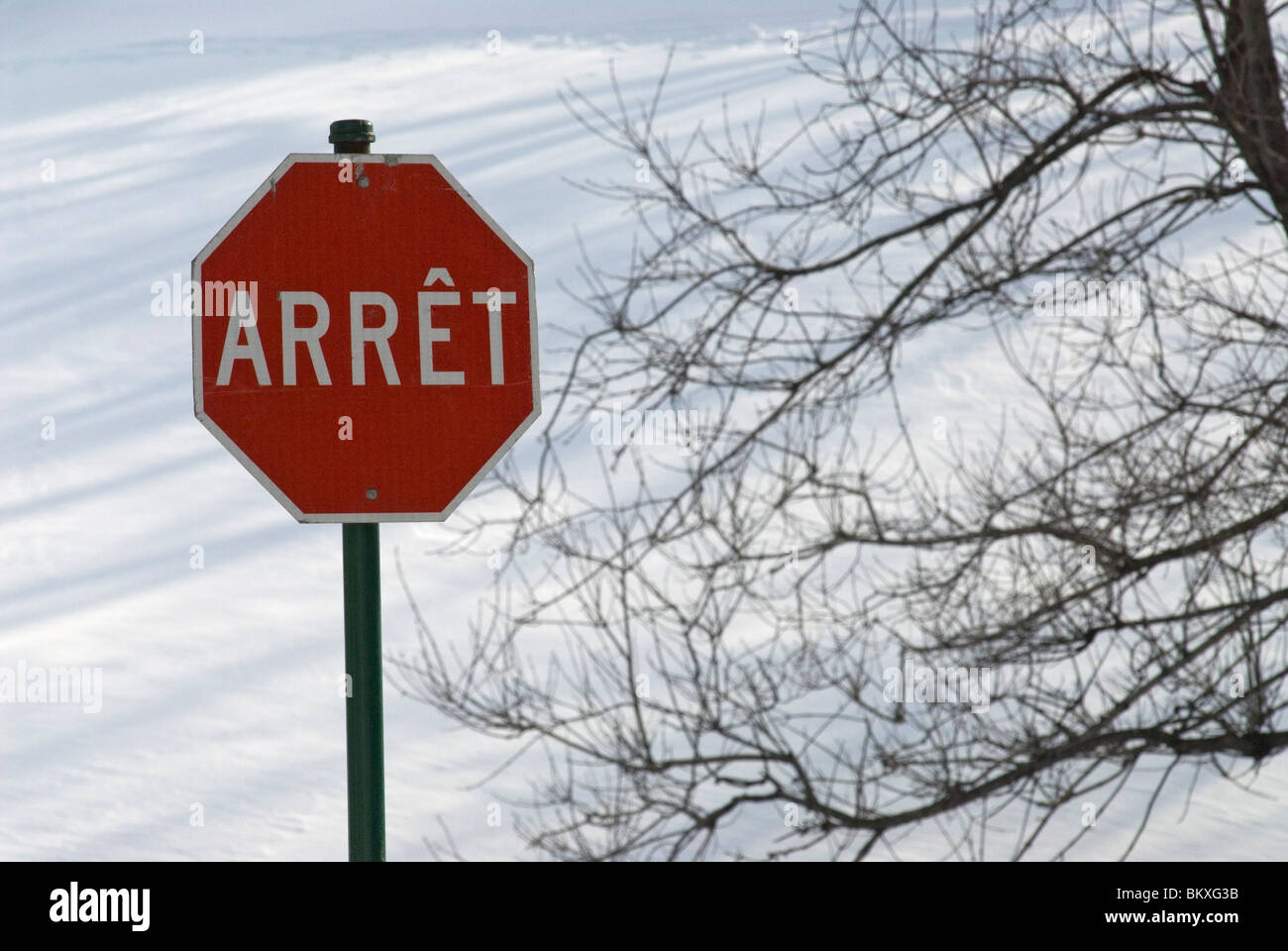 Stop sign in french Montreal Canada Stock Photo Alamy