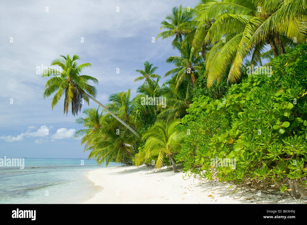 Funafuti, part of the Tuvaluan island chain that is at high risk of being swamped by climate change induced sea level rise. Stock Photo