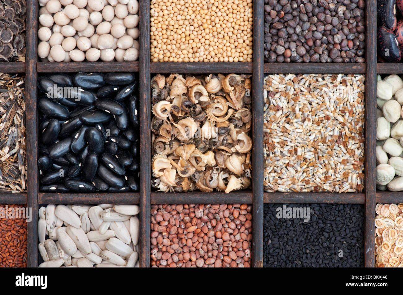 Selection of Vegetable and flower seeds in a wooden tray. Flat lay photography from above Stock Photo