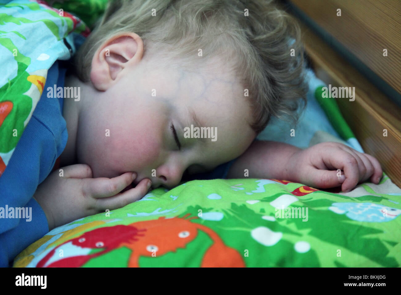 TWO YEAR OLD BOY EXHAUSTED SLEEPING WITH ROSY CHEEKS: A two year old baby boy child toddler asleep in the afternoon model released Stock Photo