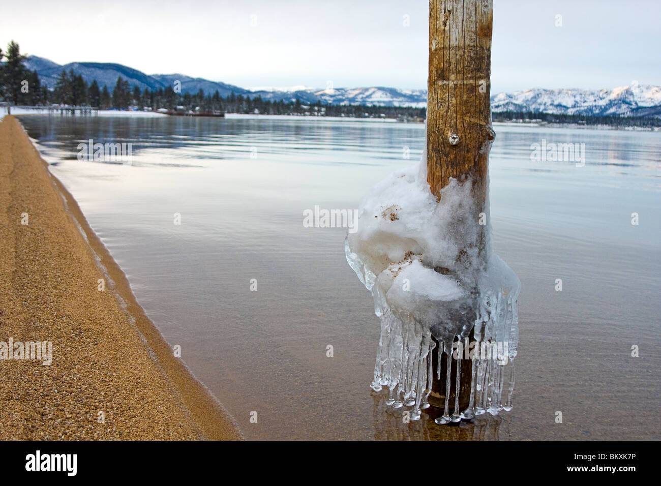 Icicles dripping from pole in shallow water of Lake Tahoe at dawn, South Lake Tahoe, Nevada, USA. Stock Photo