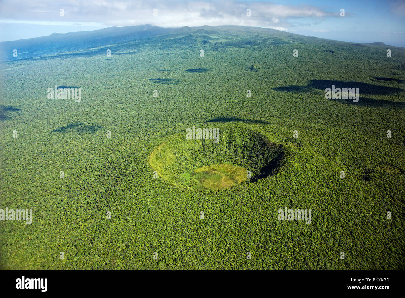 Aerial view of dormant Mt Mafane volcanic crater and forest, Samoa Stock Photo