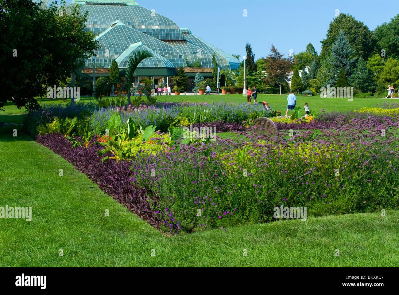 Lincoln Park perennial gardens for butterflies and Conservatory ...