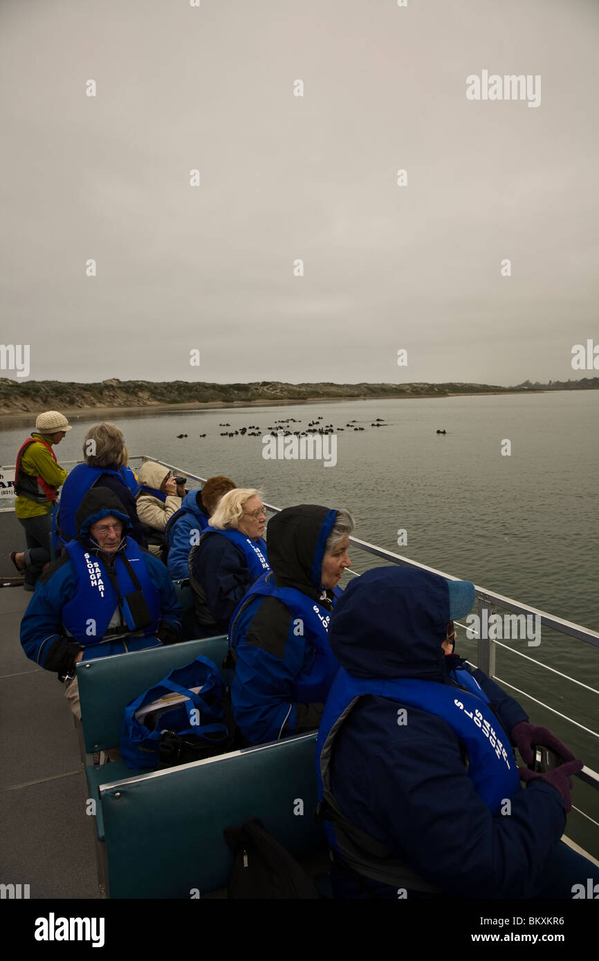Visitors join an eco-tour of wildlife-rich Elkhorn Slough one of California's largest coastal wetlands near Monterey CA USA Stock Photo