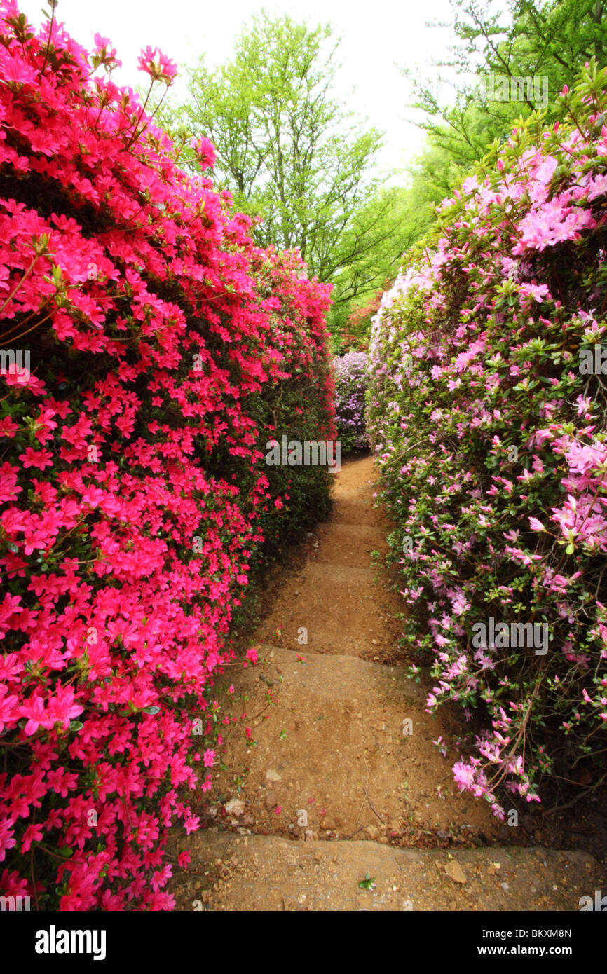 Royal punch bowl hires stock photography and images Alamy