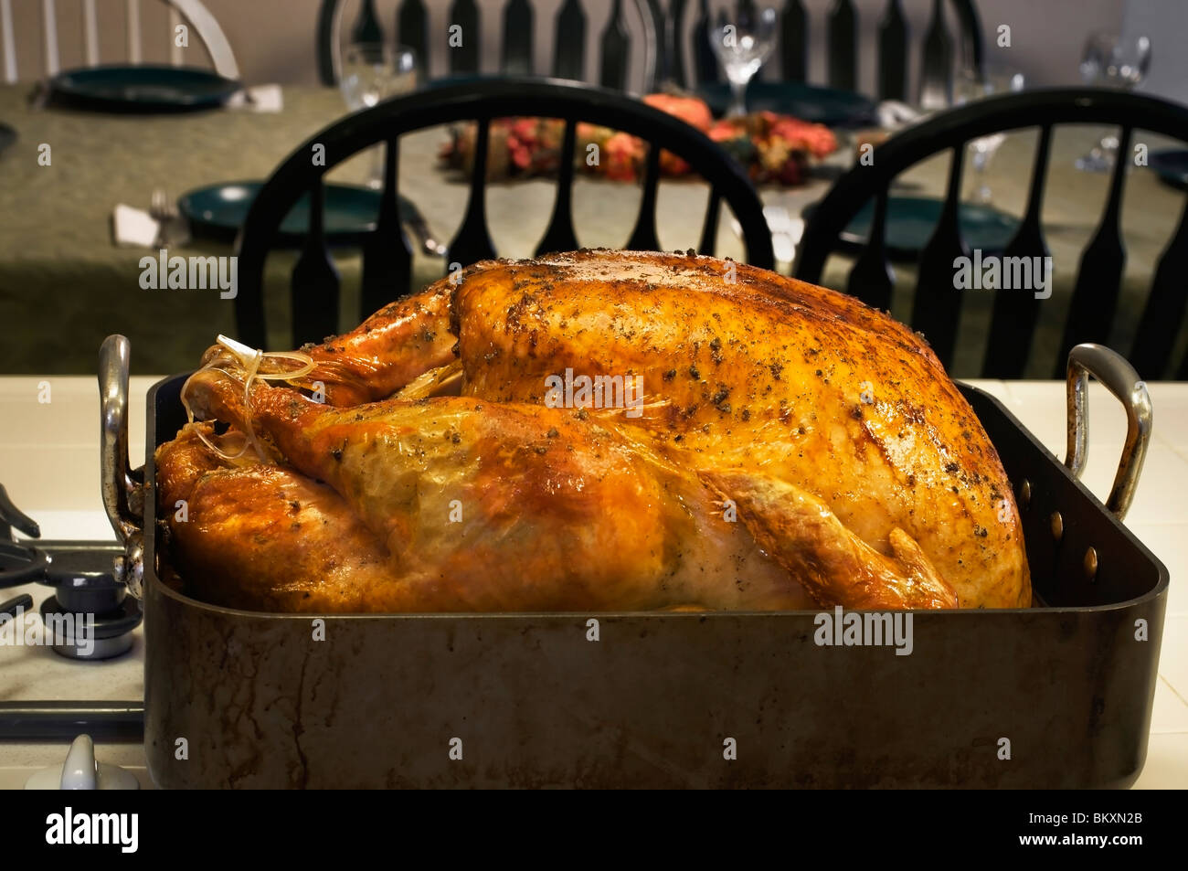 A beautifully roasted turkey still in the roasting pan is ready to be
