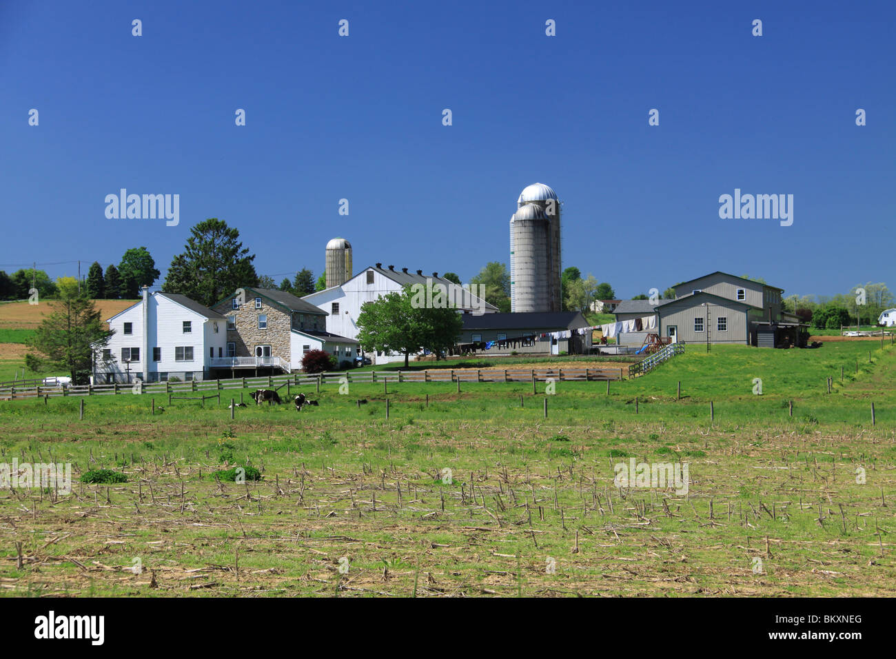 An Amish farm in Lancaster County, PA Stock Photo Alamy