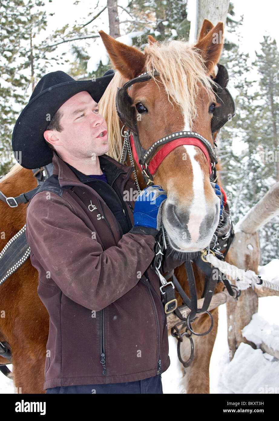 Sled driver poses with his horse at a corral that takes tourists on