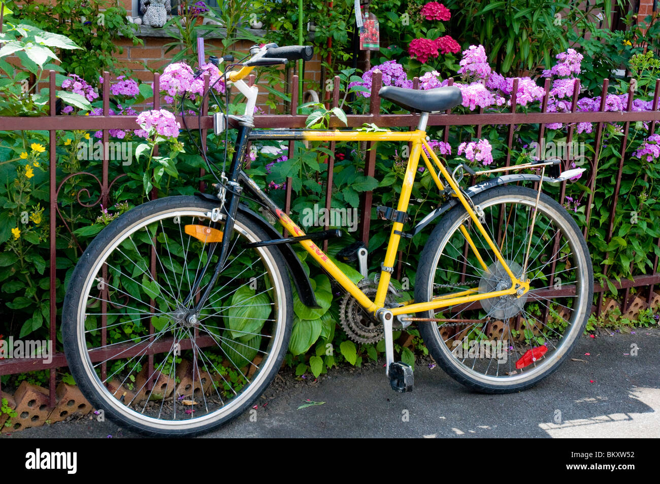 Bicycle parked in front of garden Stock Photo