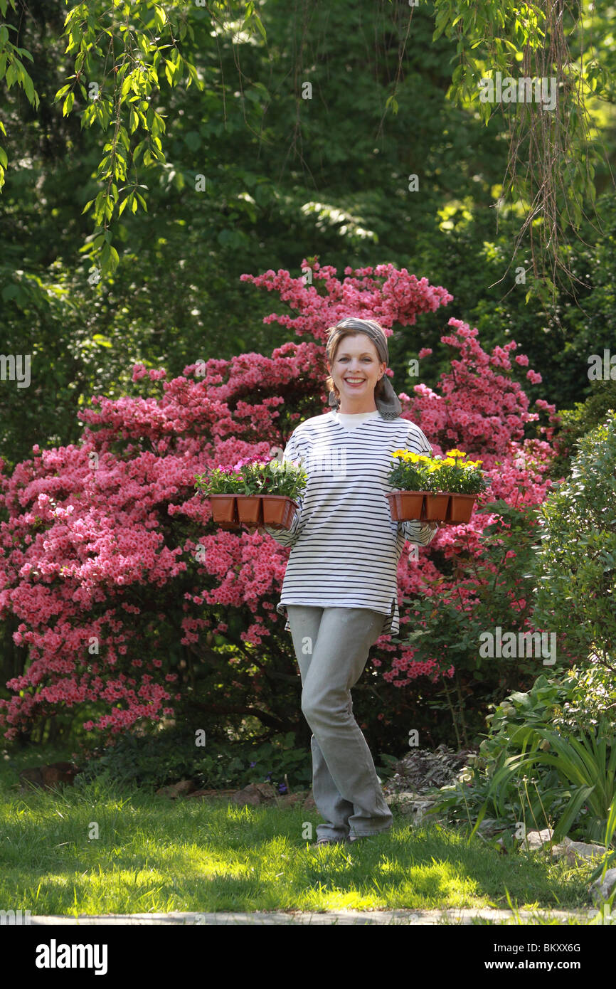 mature woman by azalea preparing to plant flowers Stock Photo - Alamy