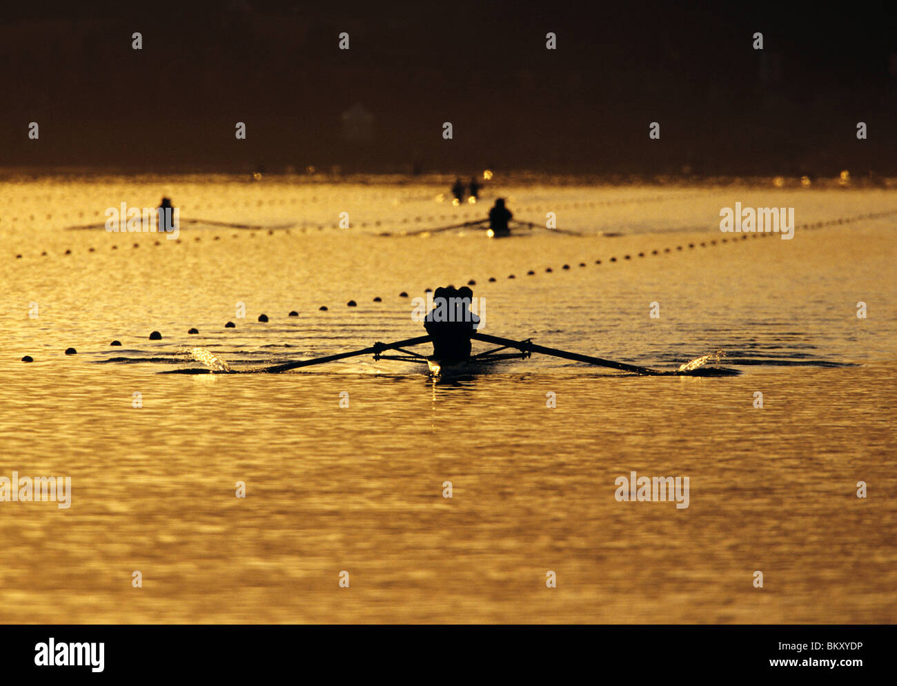 Crew rows hi-res stock photography and images - Alamy