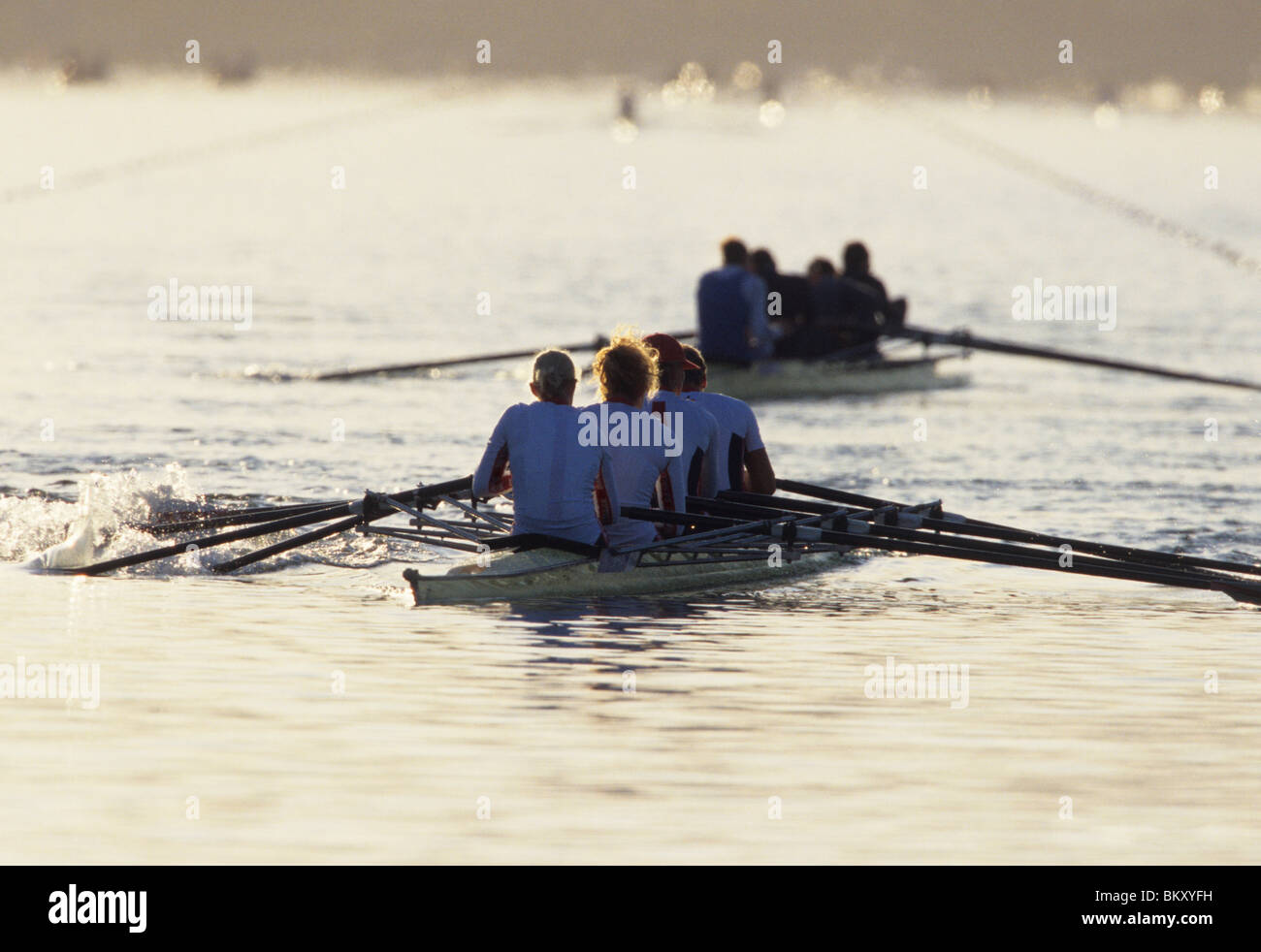 Rowing teams compete against each other Stock Photo Alamy