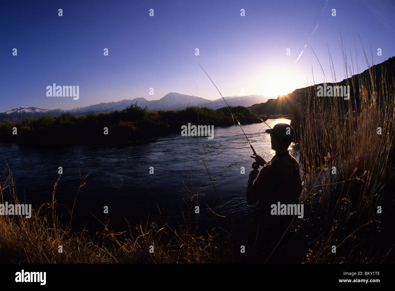 A man fly fishing in California Stock Photo Alamy