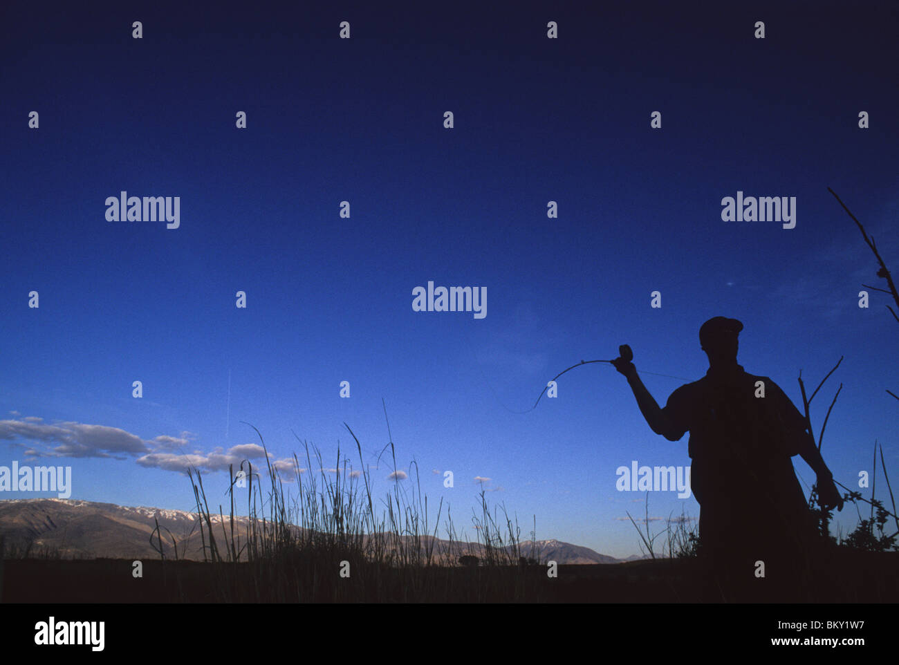 A man cast his fly line while fly fishing in Bishop, California.(silhouette) Stock Photo