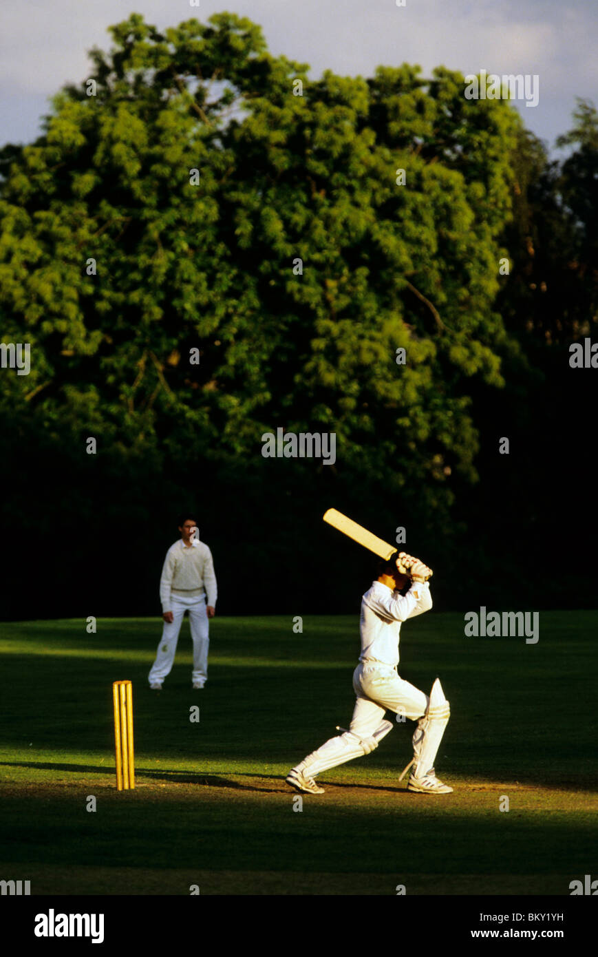Men playing cricket at hires stock photography and images Alamy