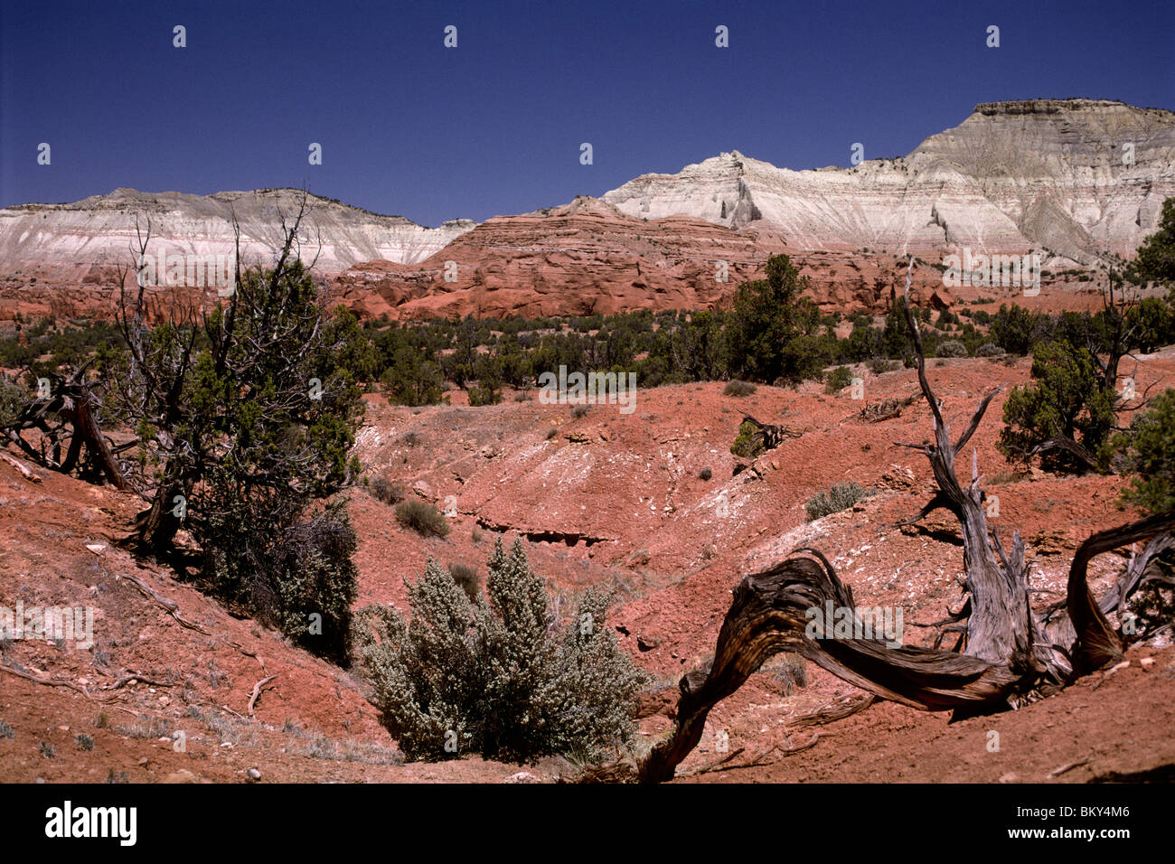 USA, Utah, Kodachrome Basin State Park Stock Photo