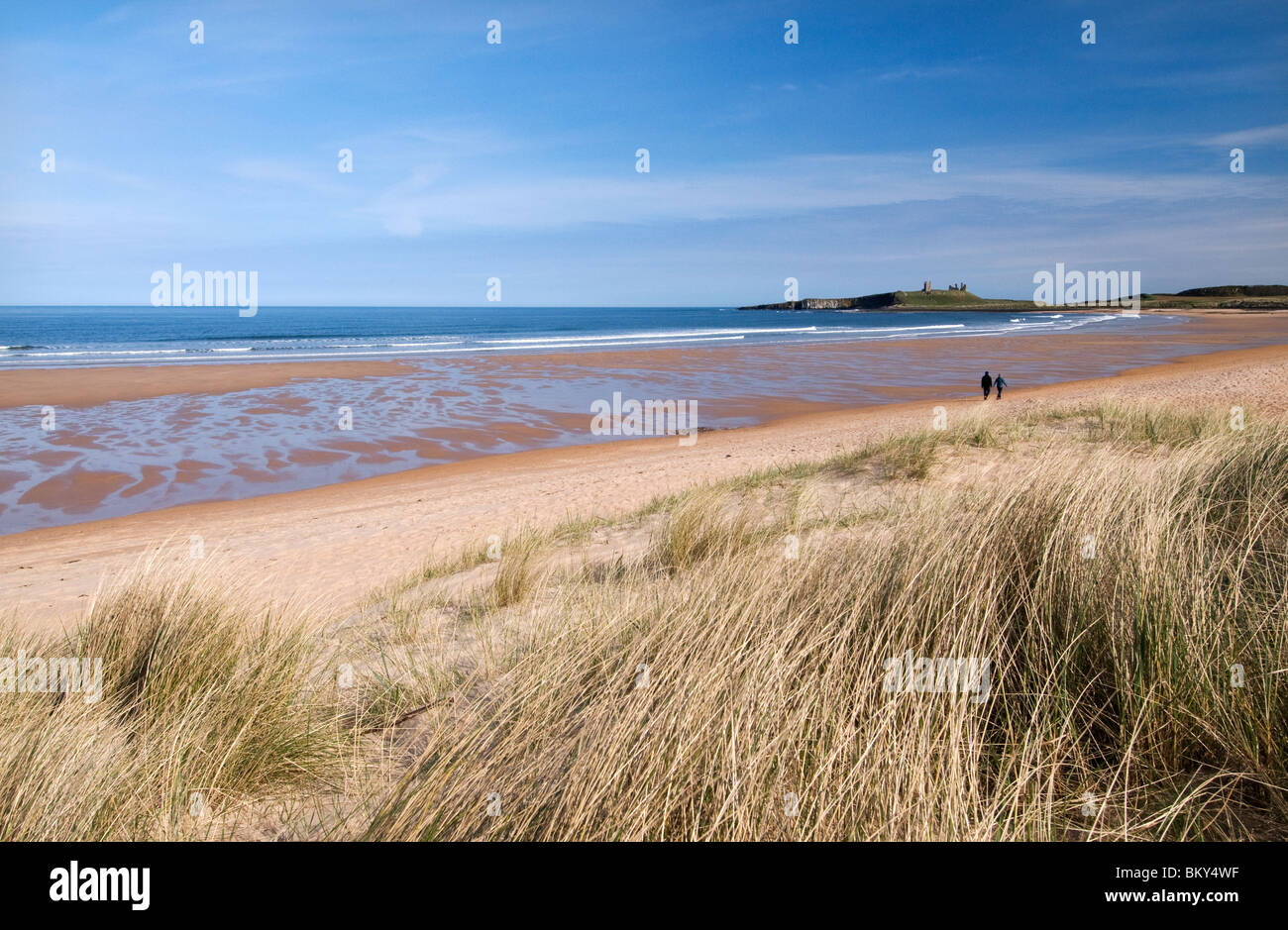 Dunstanburgh Castle & couple walking along Embleton Beach Stock Photo