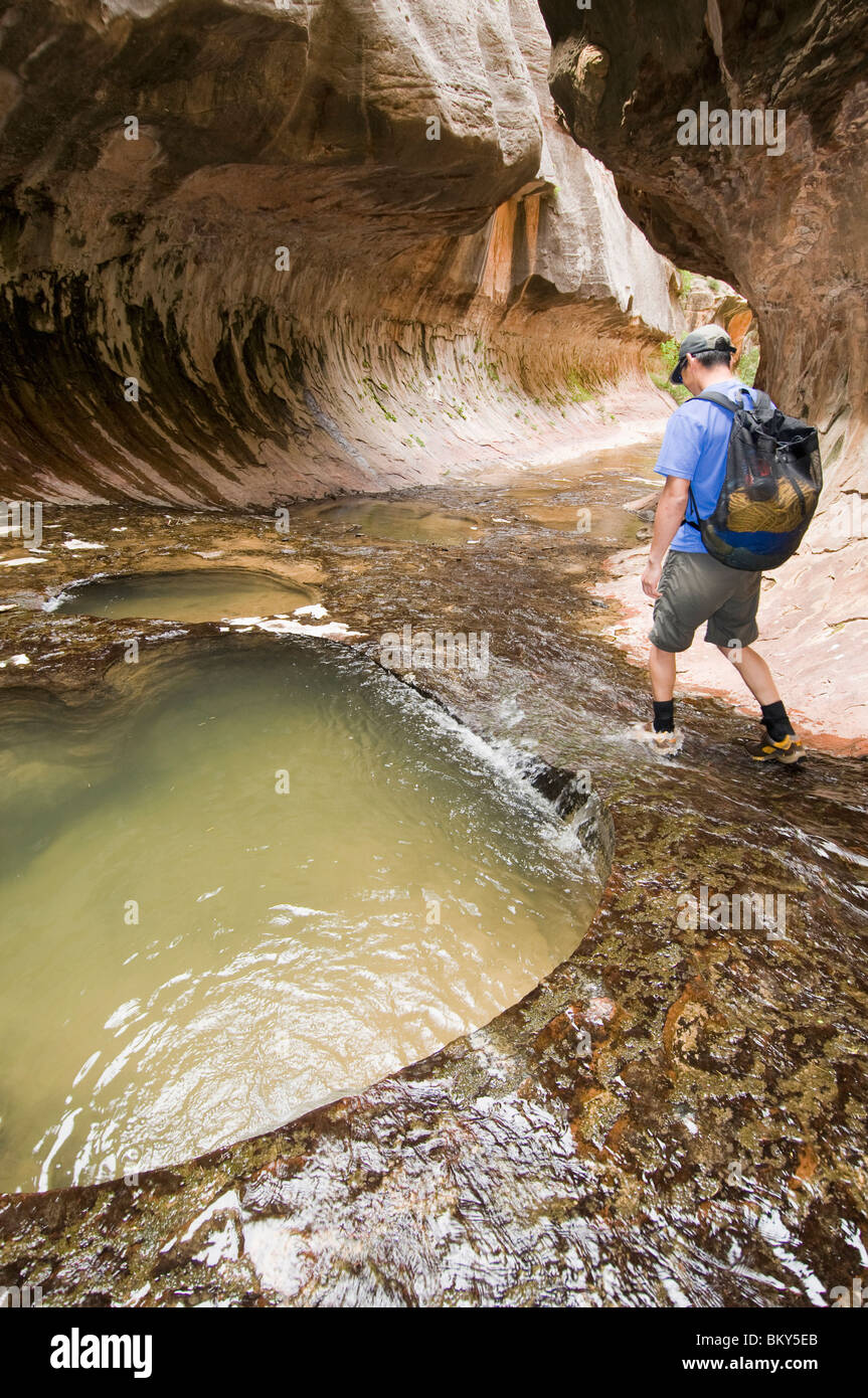 An Asian man hiking next to pools while canyoneering, Zion National ...