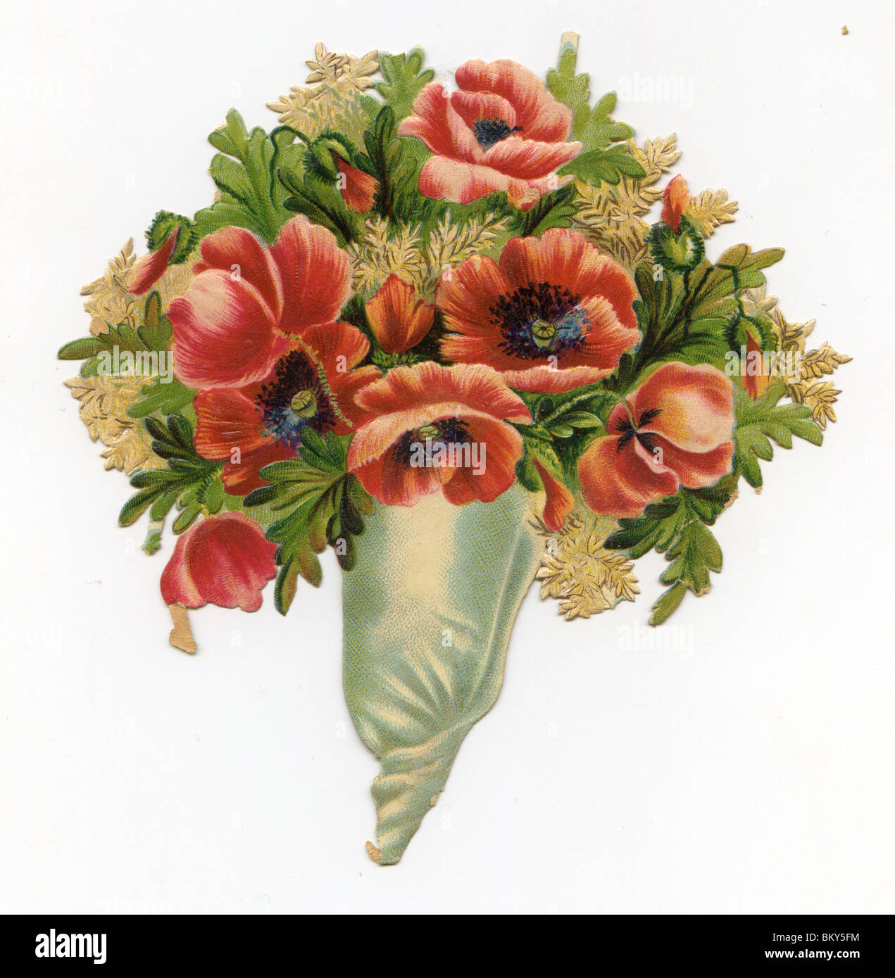 Poppies and wildflowers Cut Out Stock Images & Pictures - Alamy
