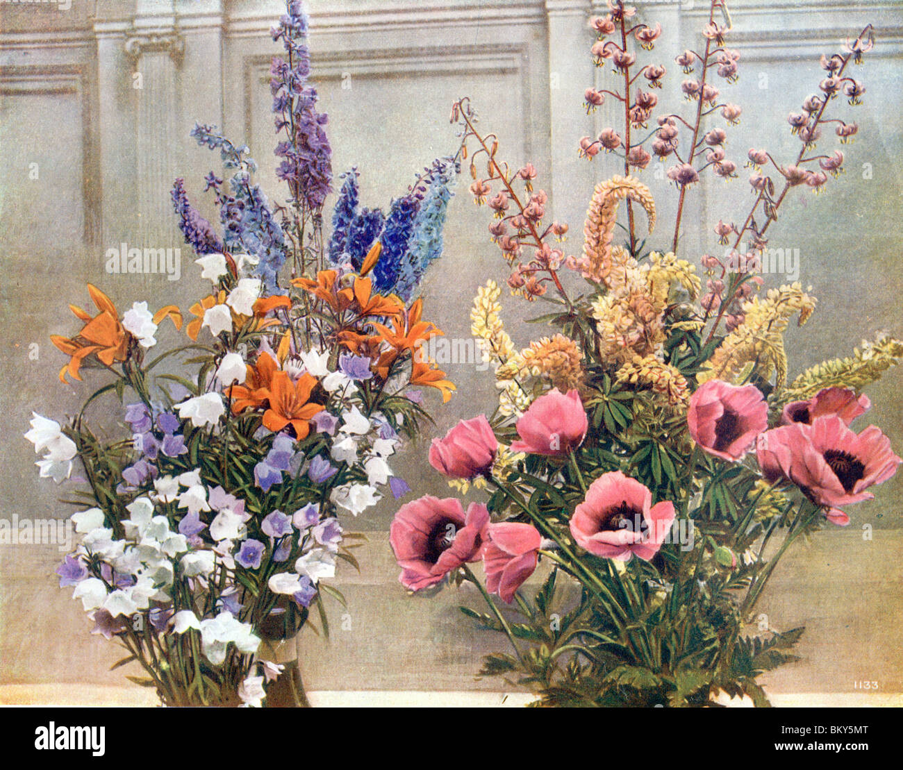 Exhibit of Hardy Perennials Stock Photo