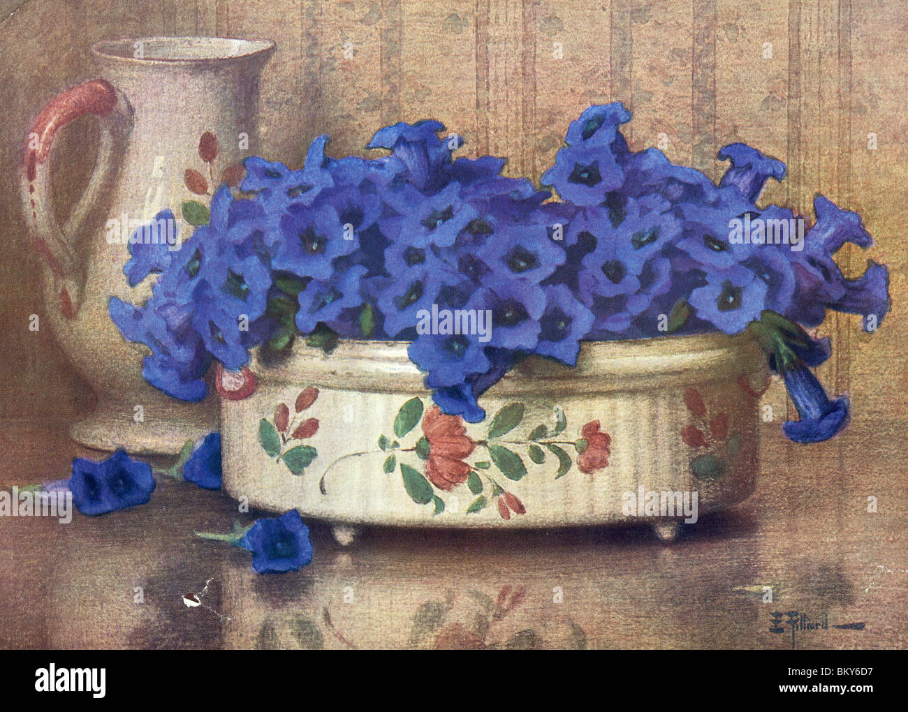 Blue Gentian in a Decorative Bowl Stock Photo