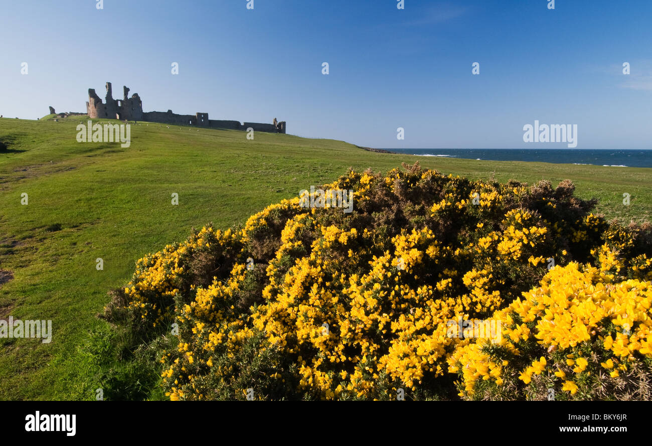 Dunstanburgh Castle viewed from the South Stock Photo