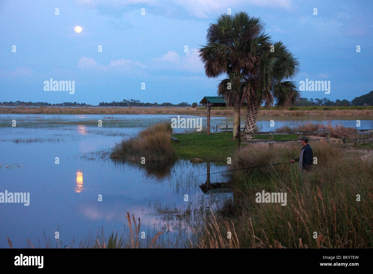 Fishing by full moon, St Marks Florida USA Stock Photo Alamy