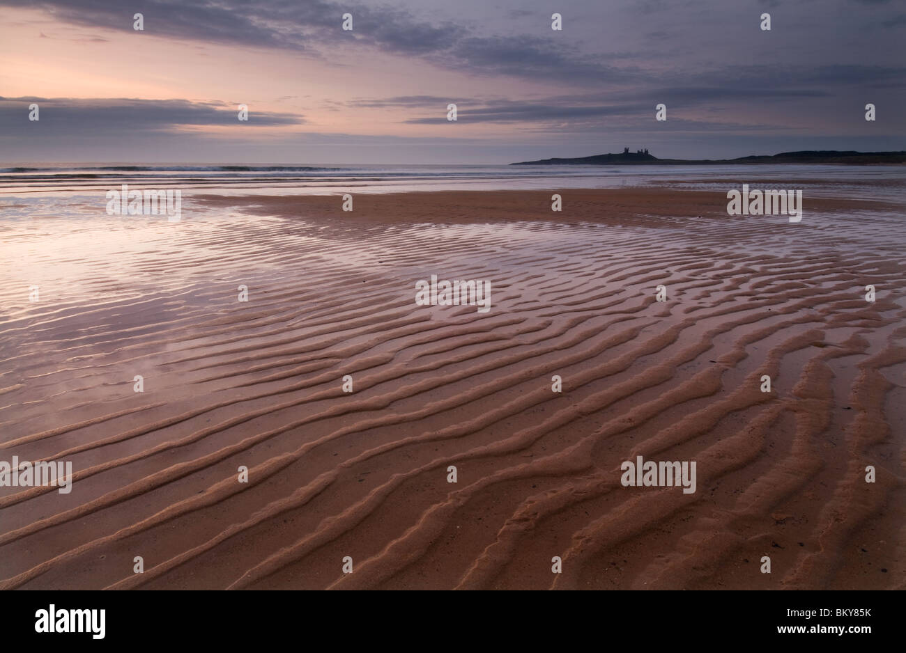 Ripples in the sand with Dunstanburgh Castle in the distance at Dawn Stock Photo