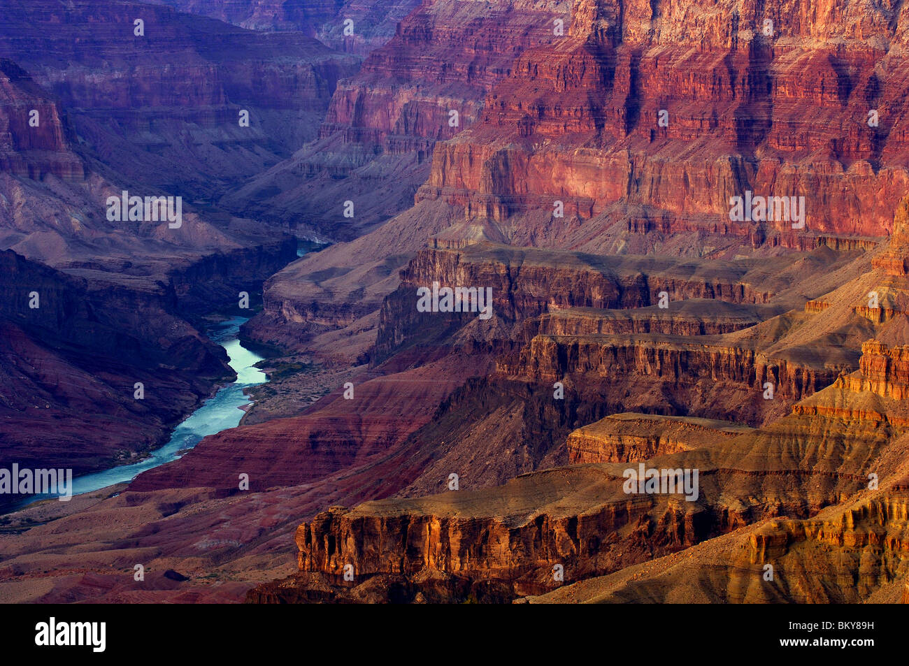 The Colorado River in a gorge at Grand Canyon, Arizona, North America, America Stock Photo