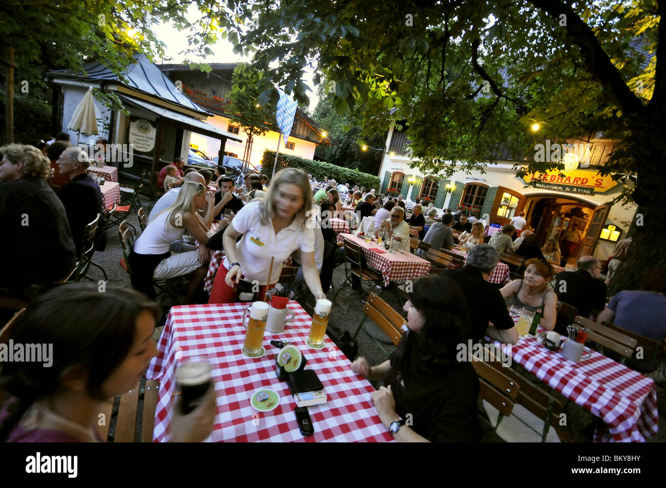 guests in a beergarden aying bavaria germany stock photo