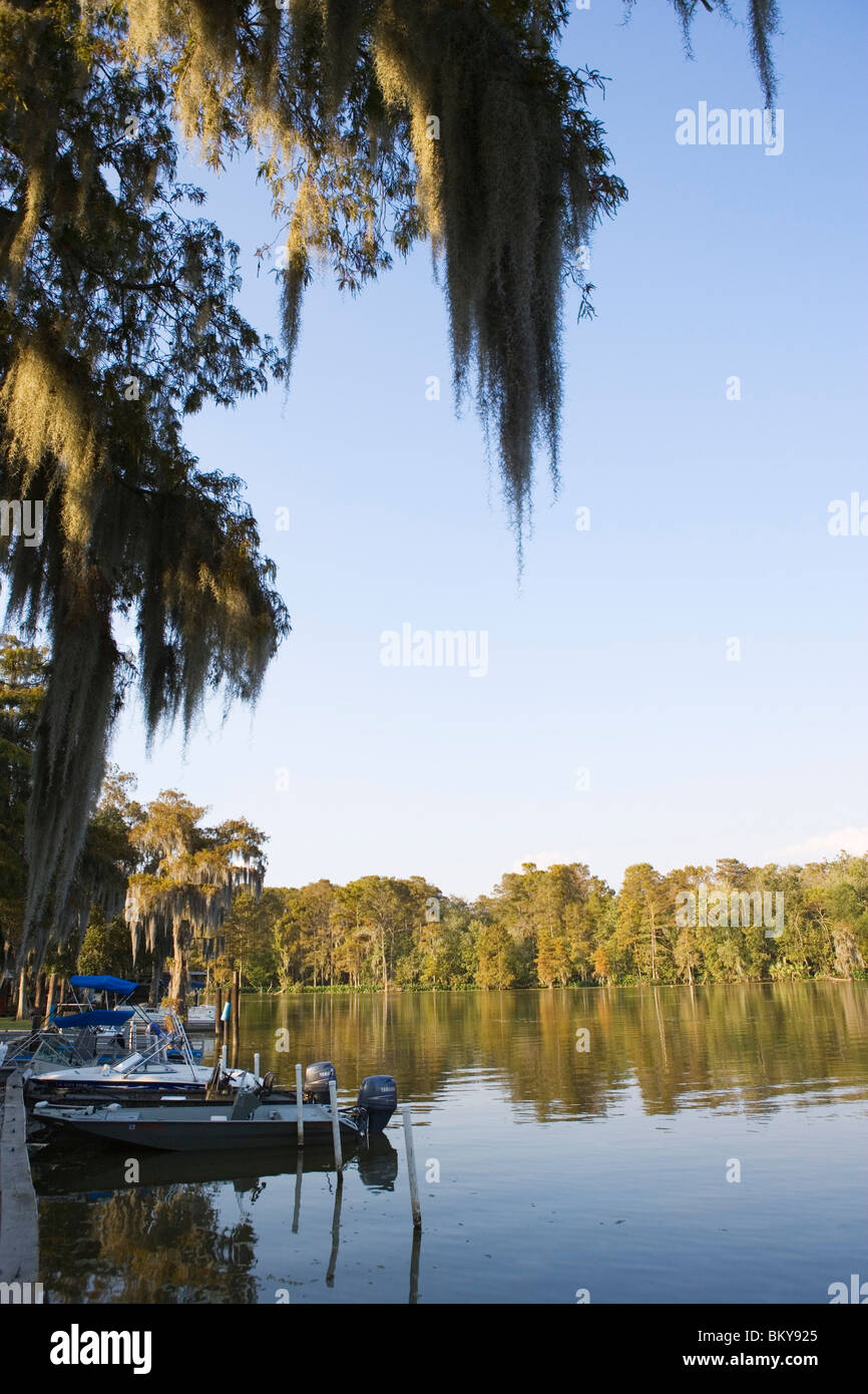 Parked boats near Attakapas Landing on Lake Verret, near Pierre Part