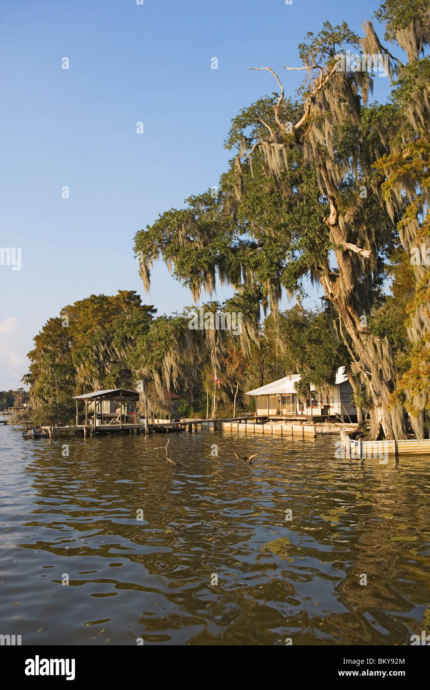 Cabins near Attakapas Landing on Lake Verret, near Pierre Part, Louisiana, USA Stock Photo